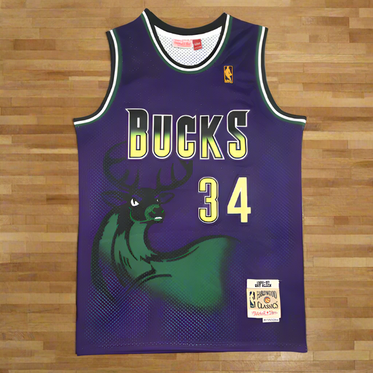 Buck #34 Ray Allen M & N Hardwood Classics Retro Basketball Jersey
