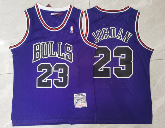 Chicago #23 Jordan Special Edition (Purple) M & N Hardwood Classics